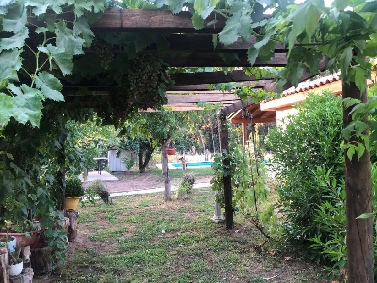 Alojamiento Los Nogales ซานตาครูซ ภายนอก รูปภาพ