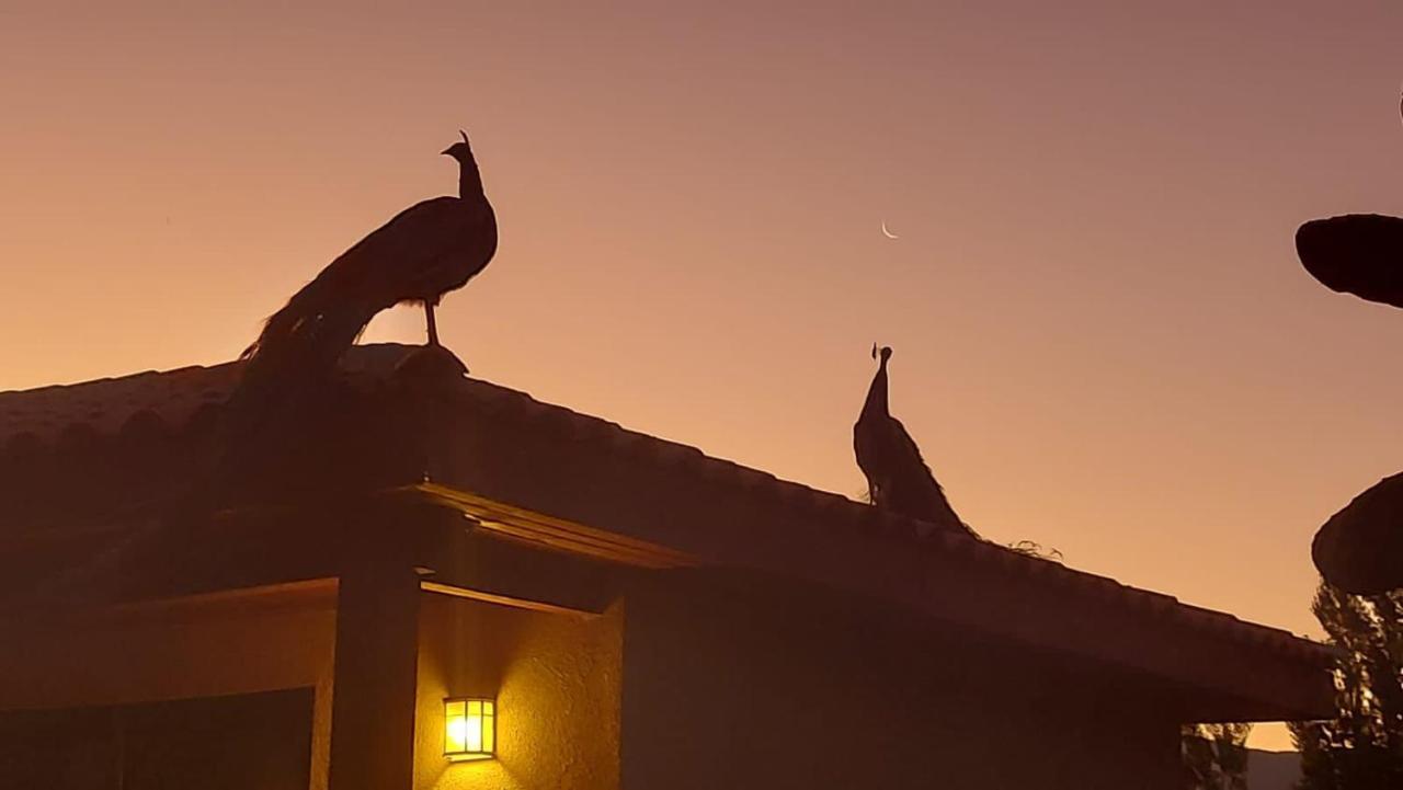 Alojamiento Los Nogales ซานตาครูซ ภายนอก รูปภาพ